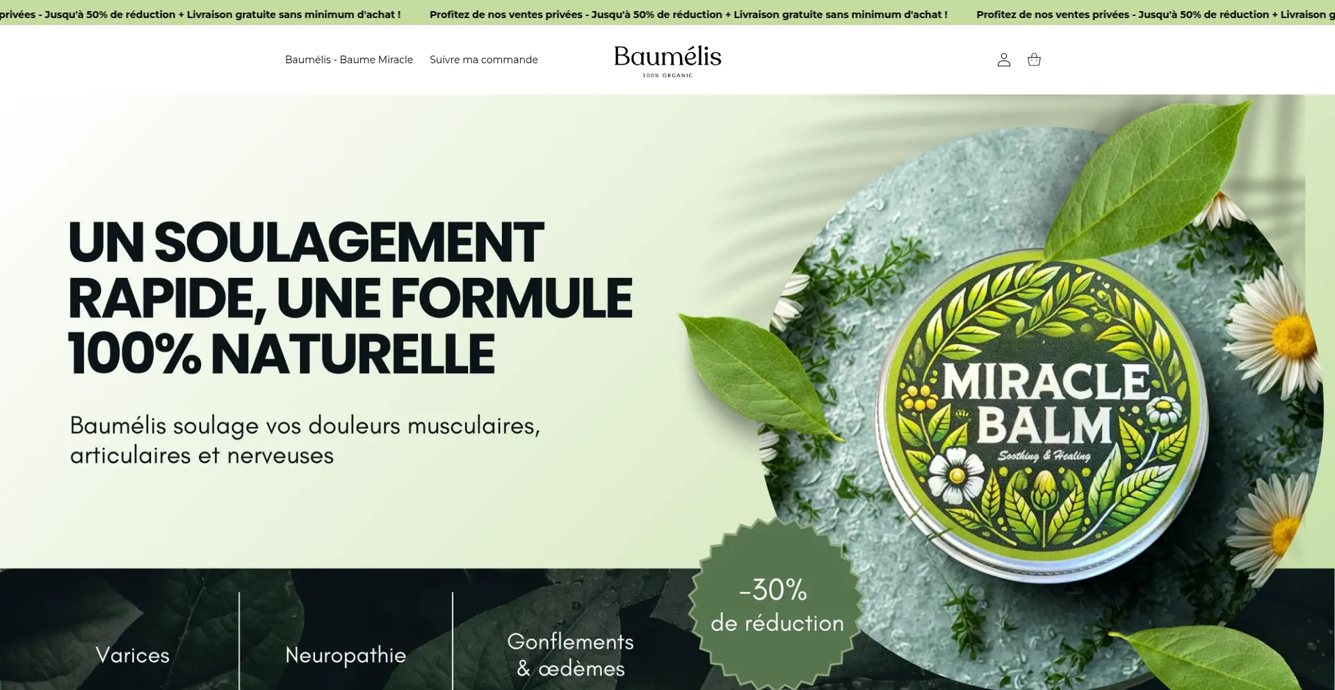 Website screenshot of Baumelis.fr