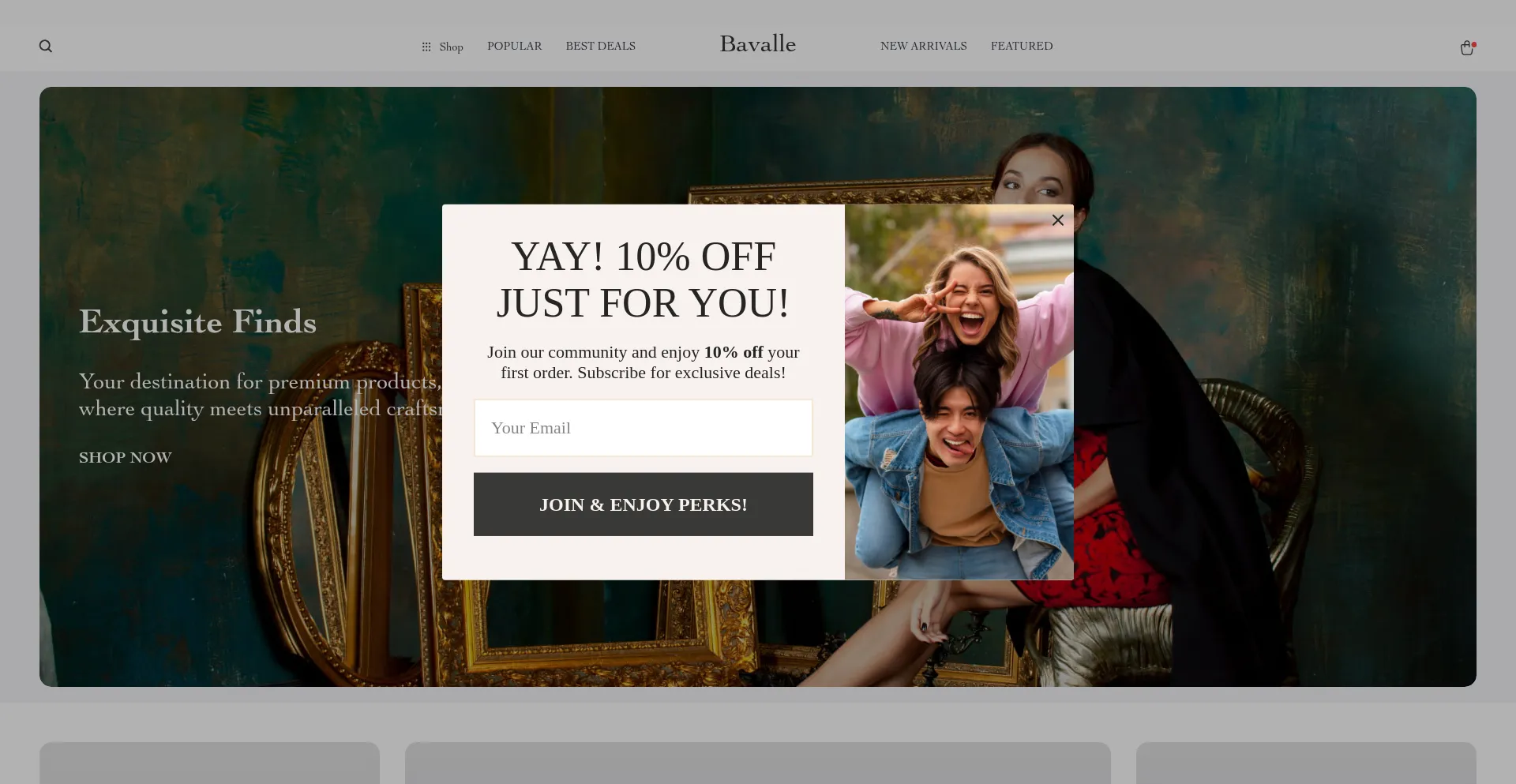 Website screenshot of Bavalle.com