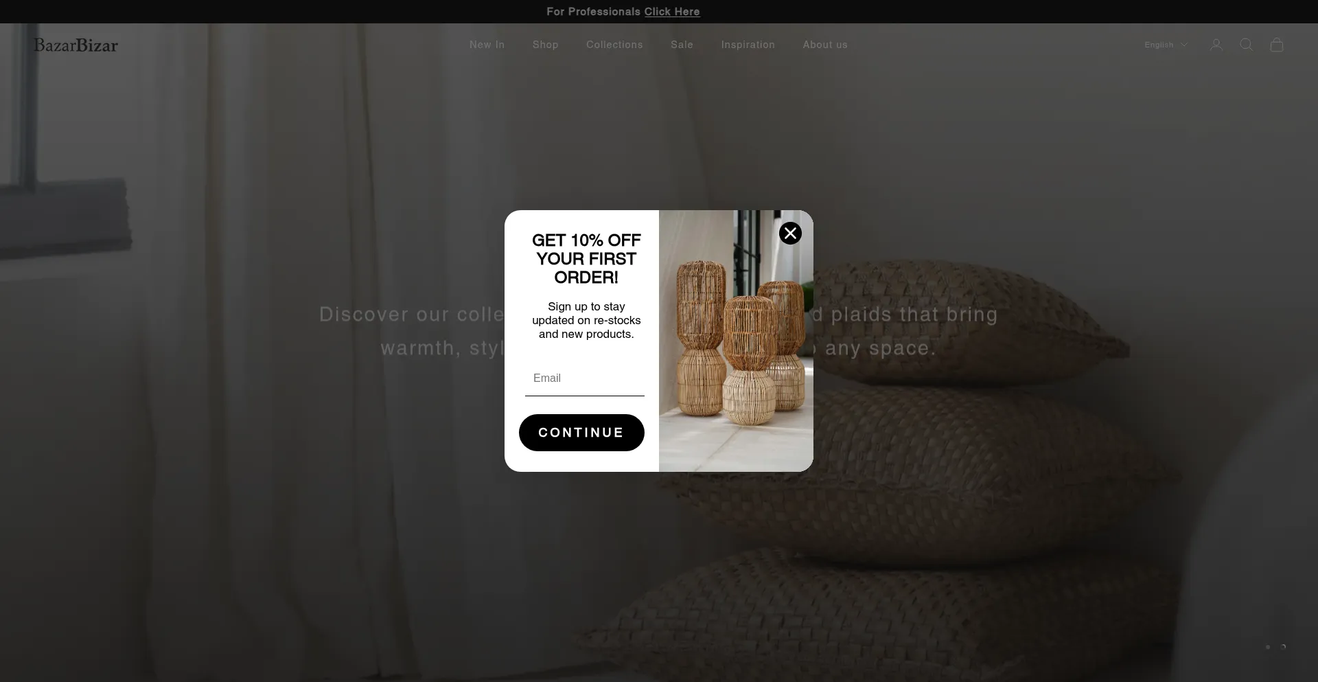 Website screenshot of Bazarbizar.be