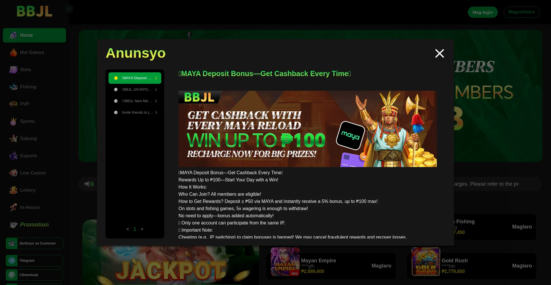Website screenshot of Bbjl89.com