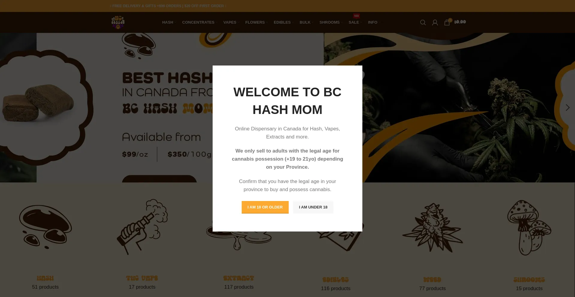 Website screenshot of Bchashmom.net