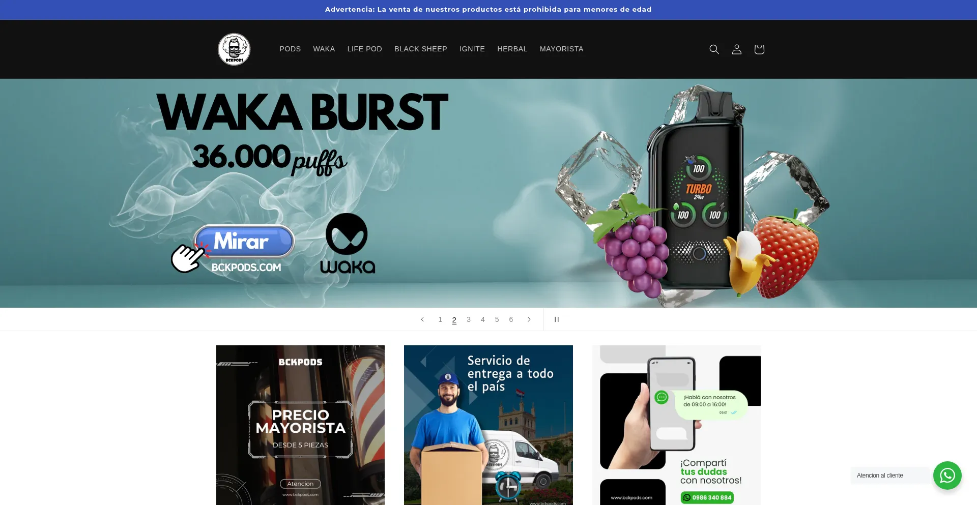Website screenshot of Bckpods.com