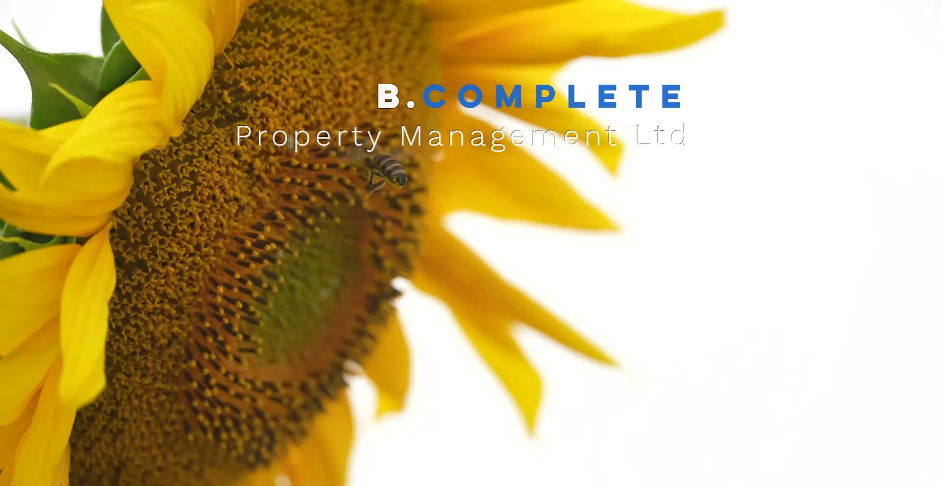 Website screenshot of Bcompletepm.co.uk