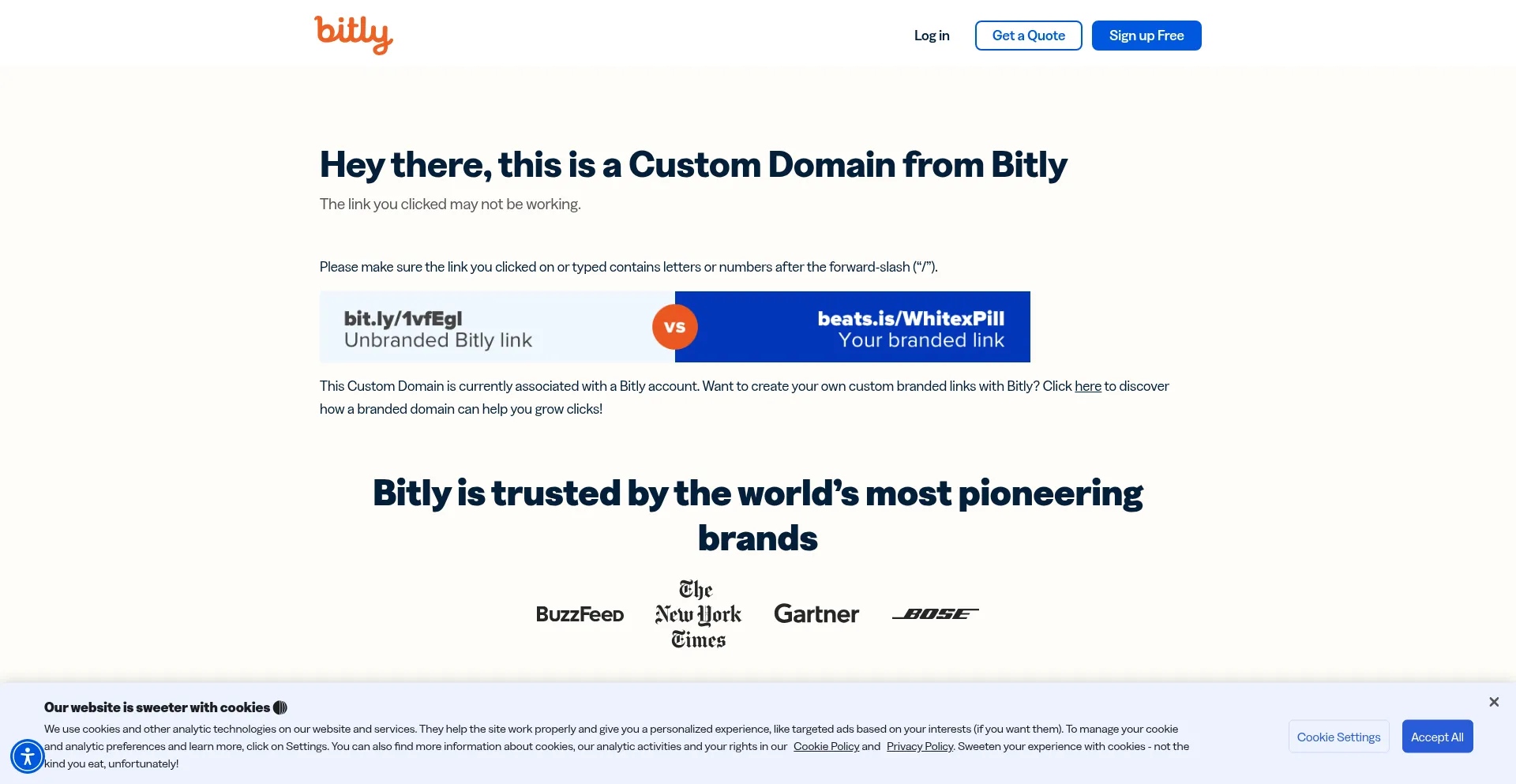 Website screenshot of Bdev.info