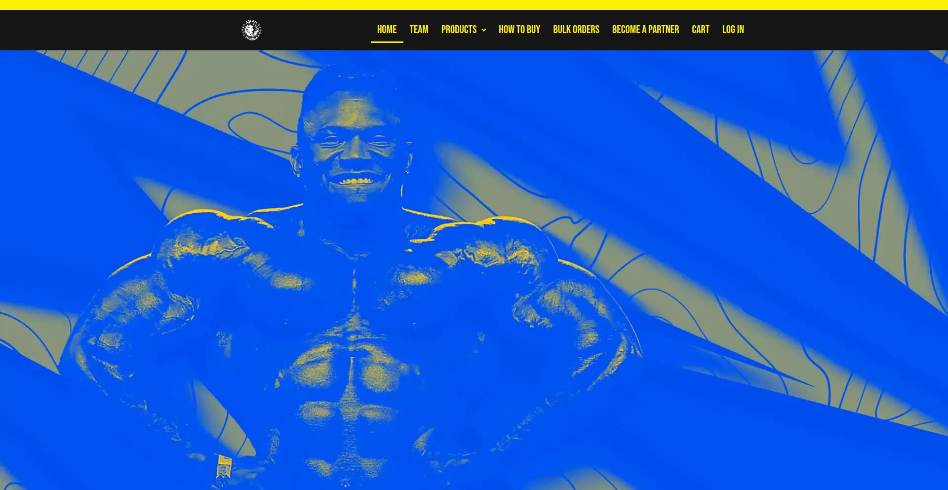Be-aslan.com Screenshot