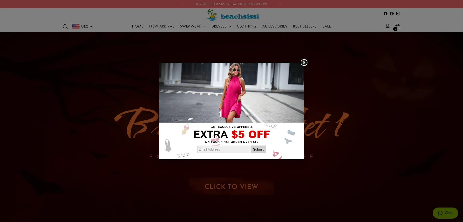 Website screenshot of Beachsissi.com