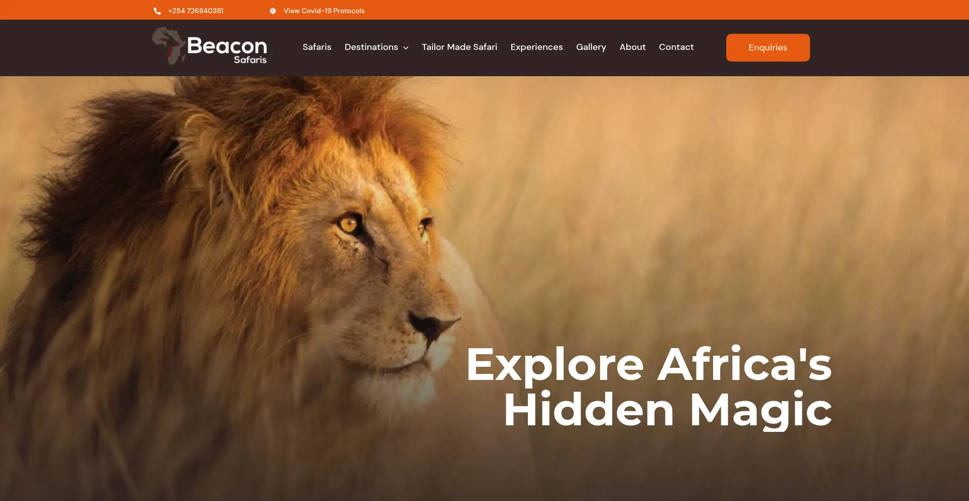 Is Beaconsafaris.com Safe?