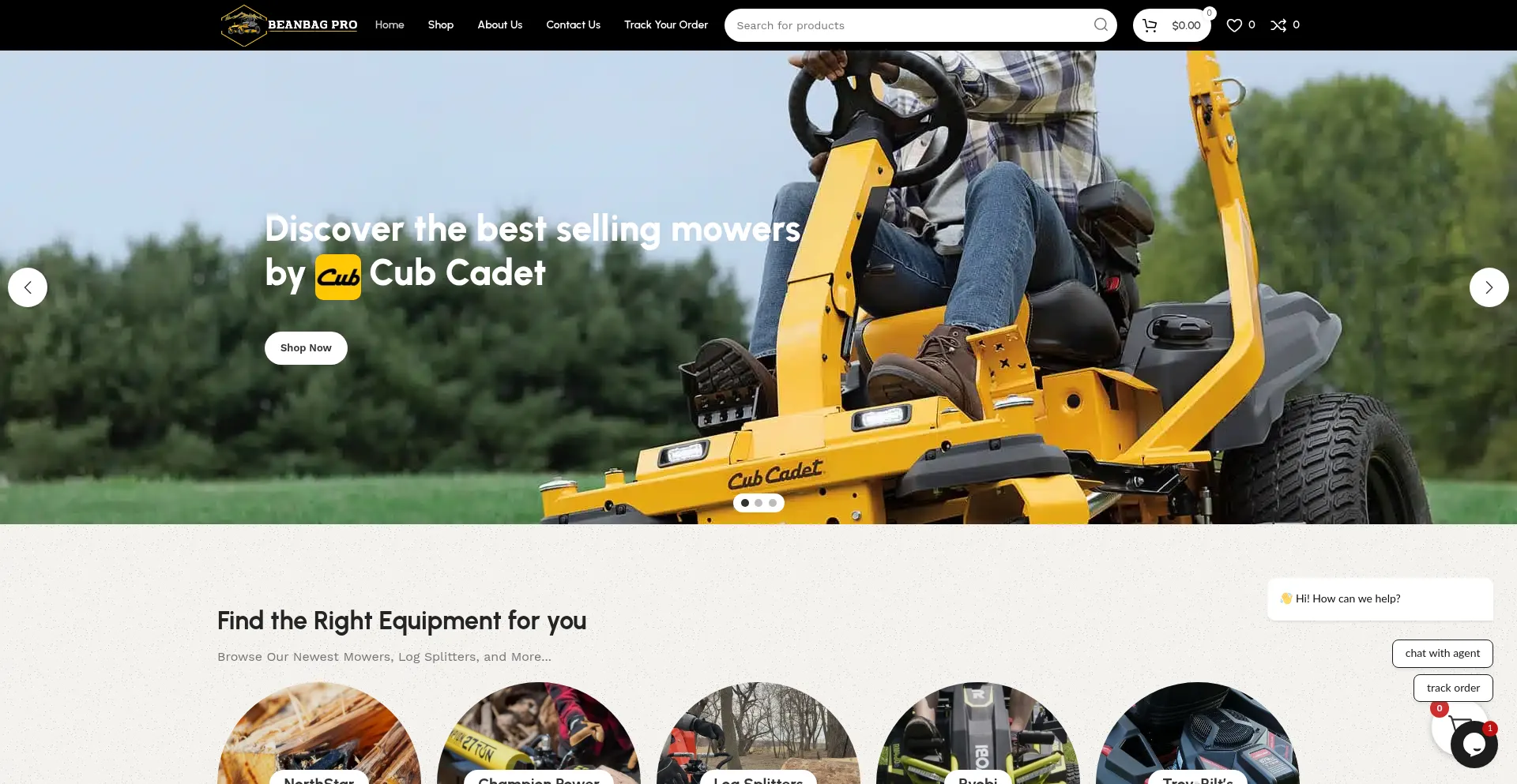Website screenshot of Beanbagpro.com