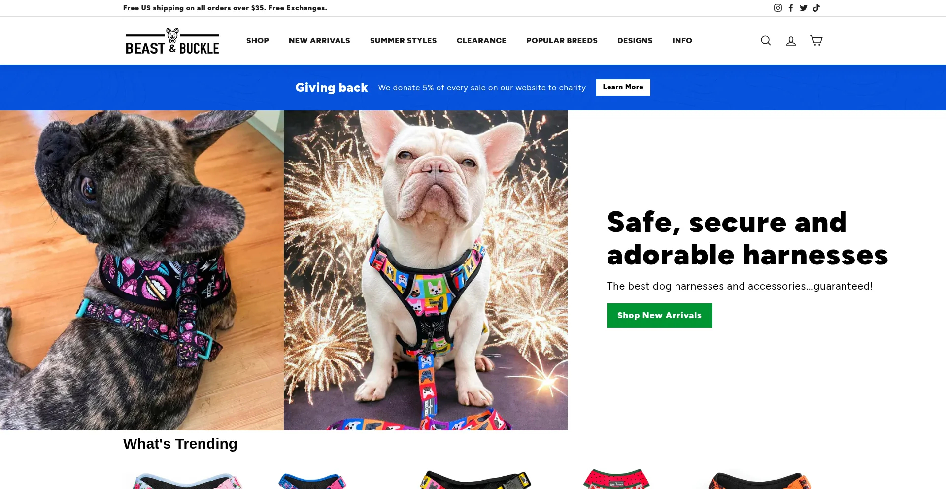 Beastandbuckle.com