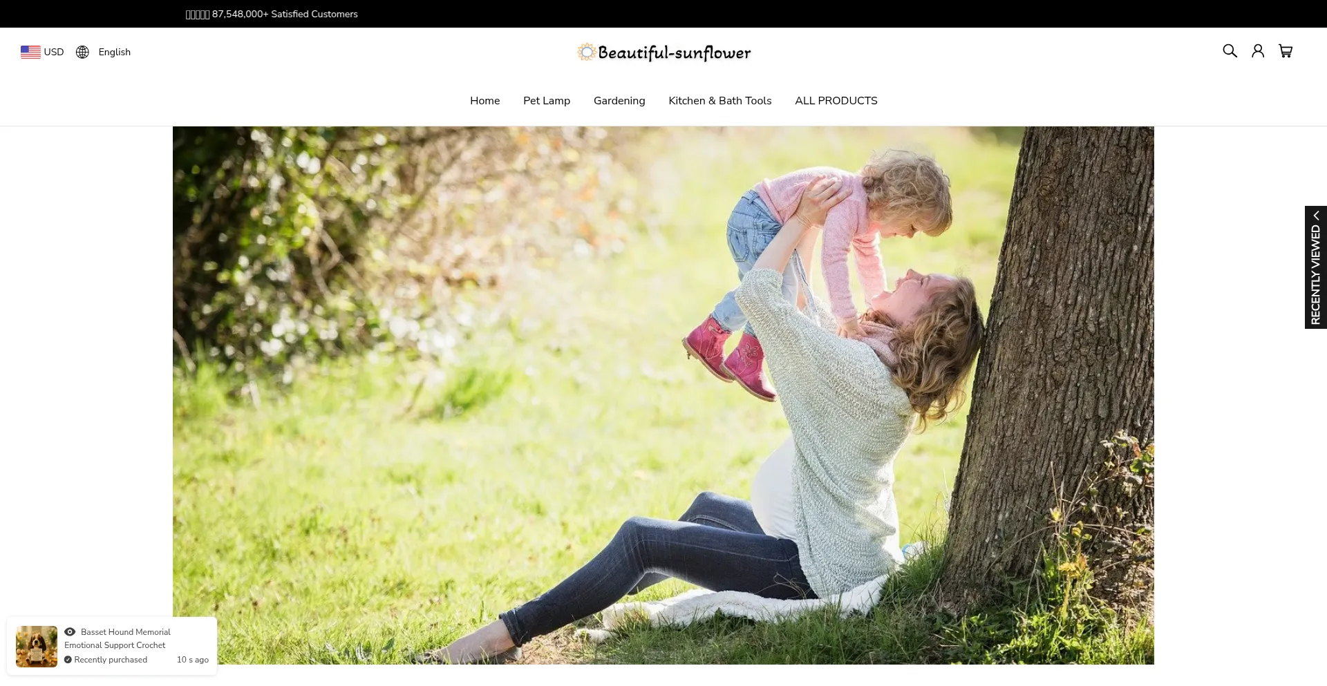Website screenshot of Beautiful-sunflower.com