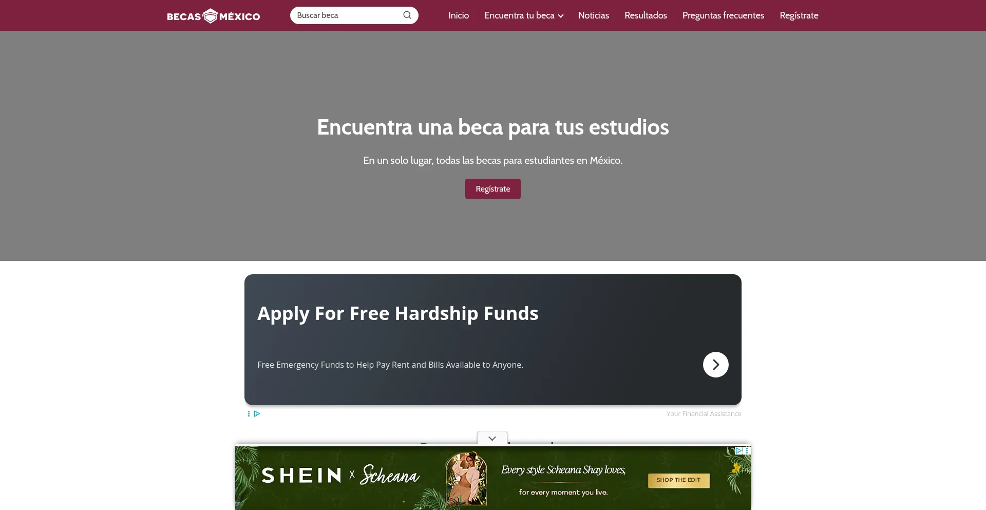 Website screenshot of Becasmexico.org