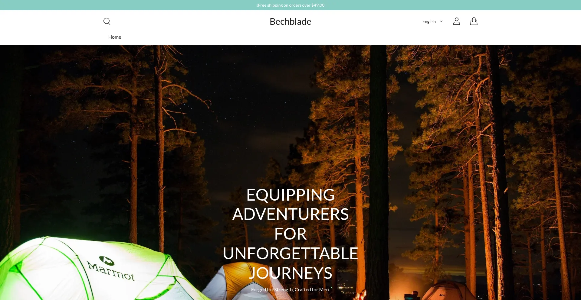 Website screenshot of Bechblade.com