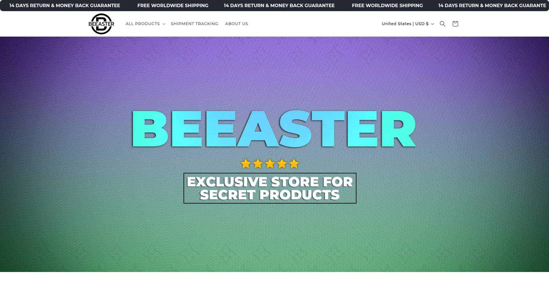 Website screenshot of Beeaster.com