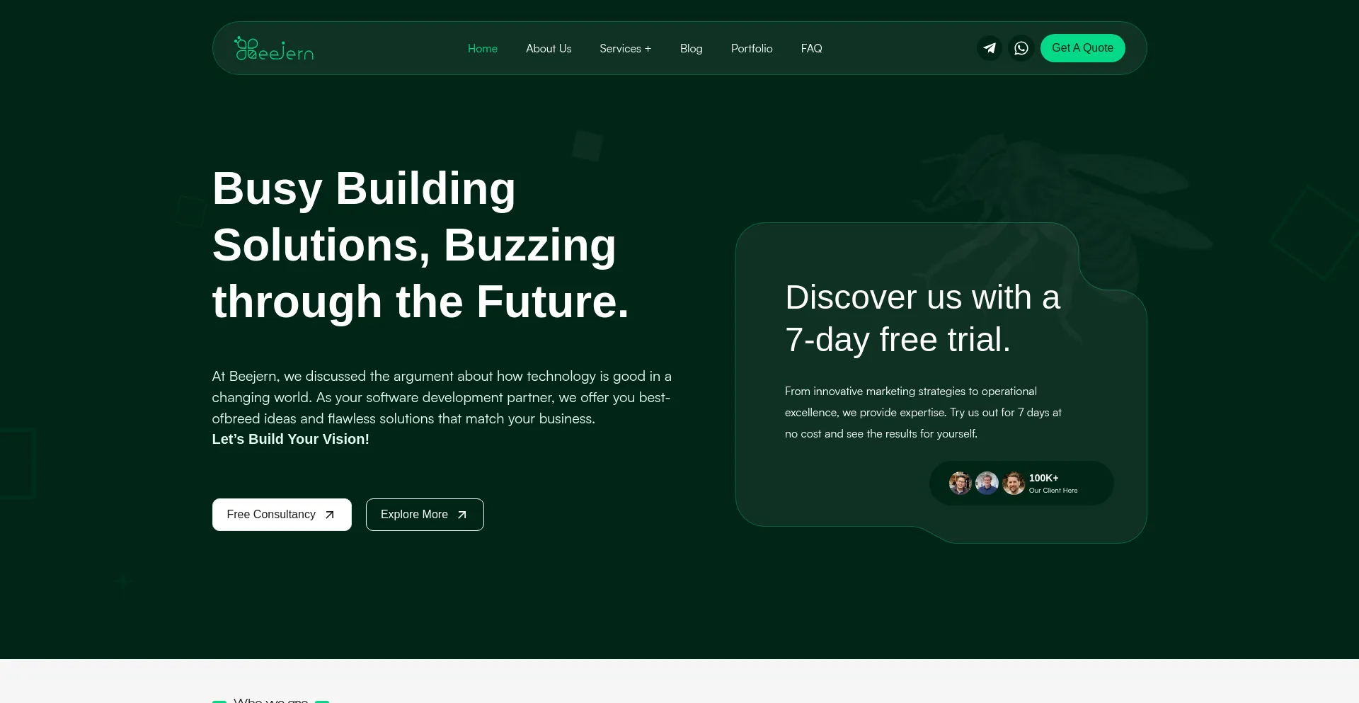 Website screenshot of Beejern.com