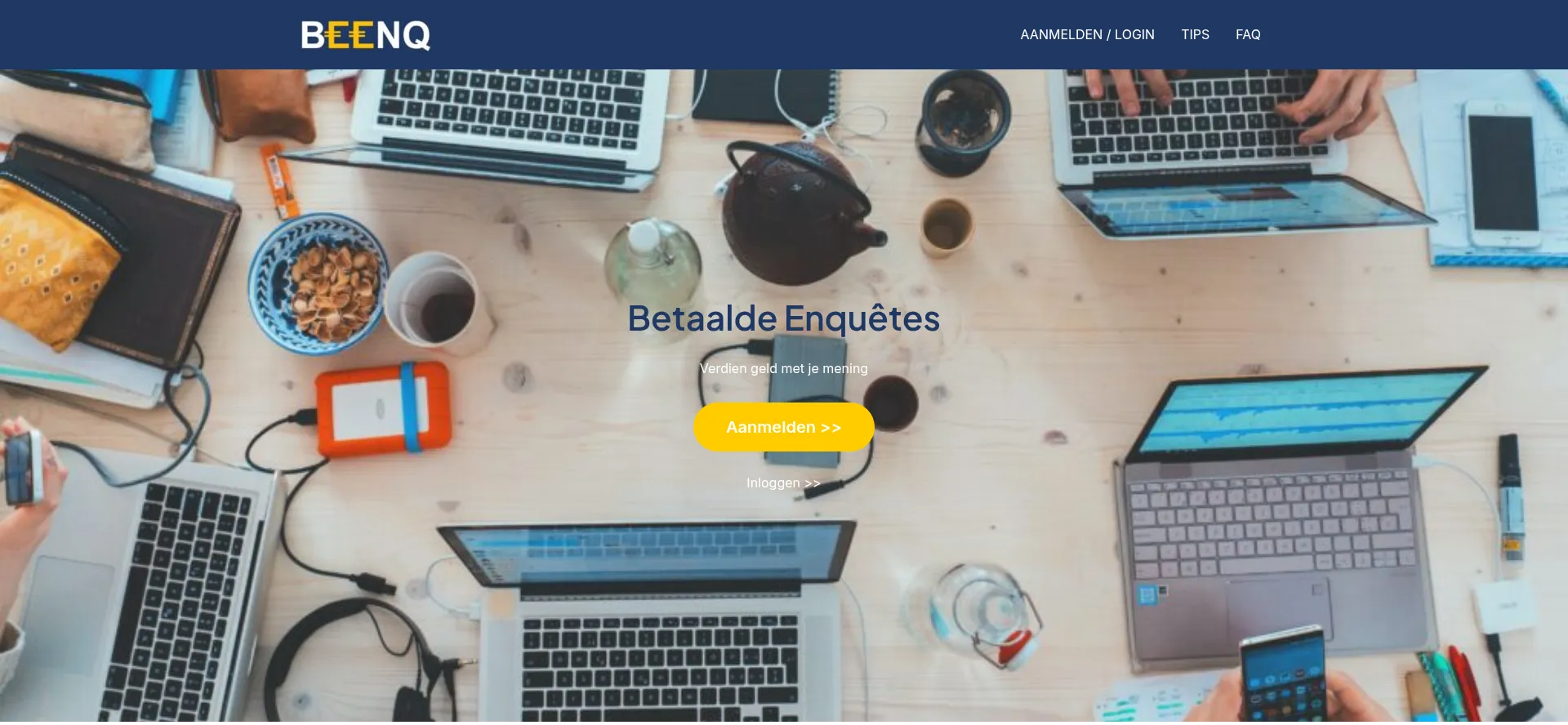 Website screenshot of Beenq.nl