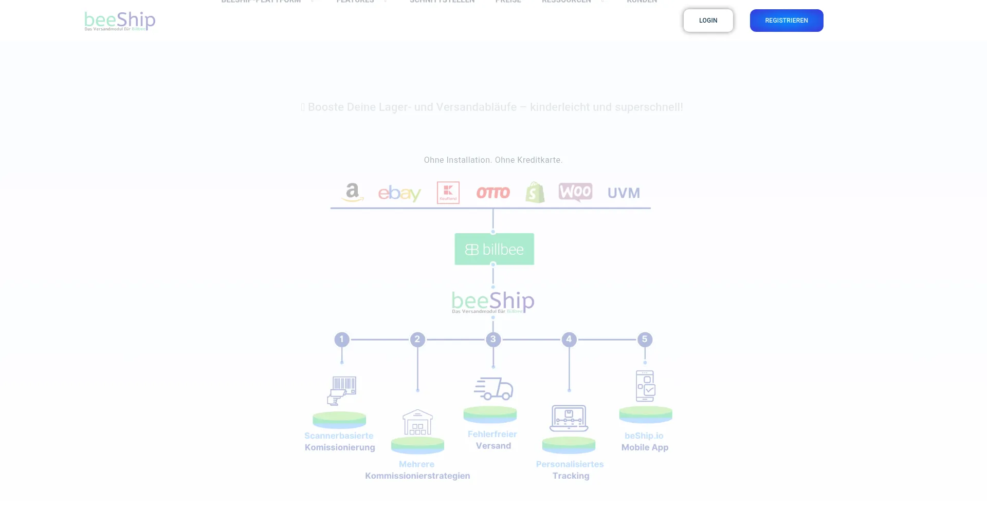 Website screenshot of Beeship.io