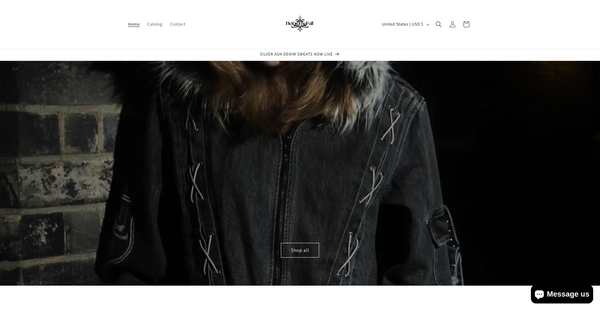 Website screenshot of Beforethefall.store