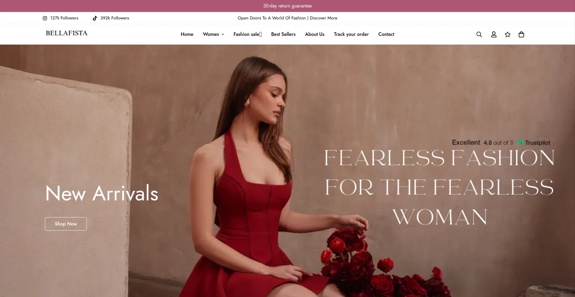 Website screenshot of Bellafista.com