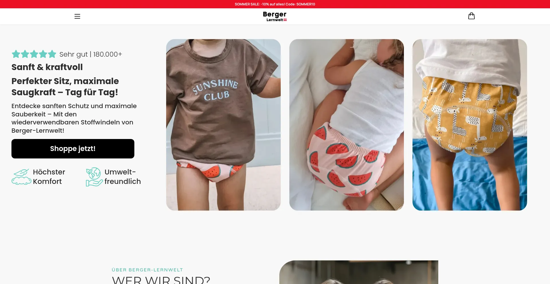 Website screenshot of Berger-lernwelt.at