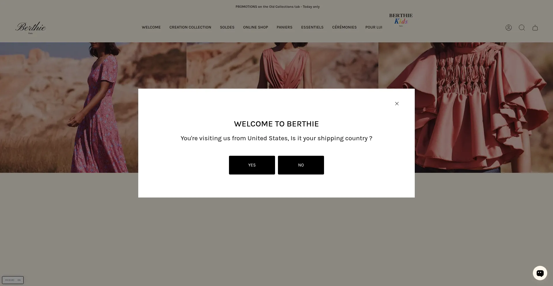 Website screenshot of Berthie.fr
