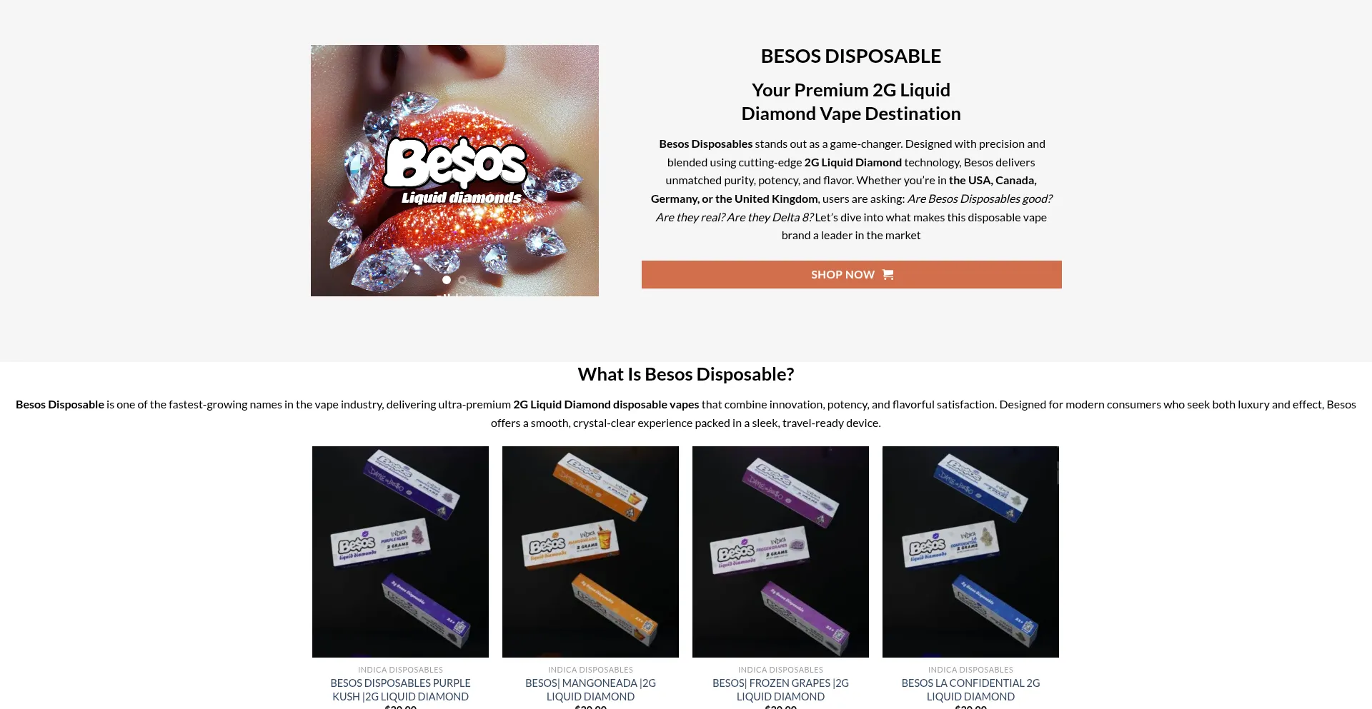 Website screenshot of Besos-disposables.com