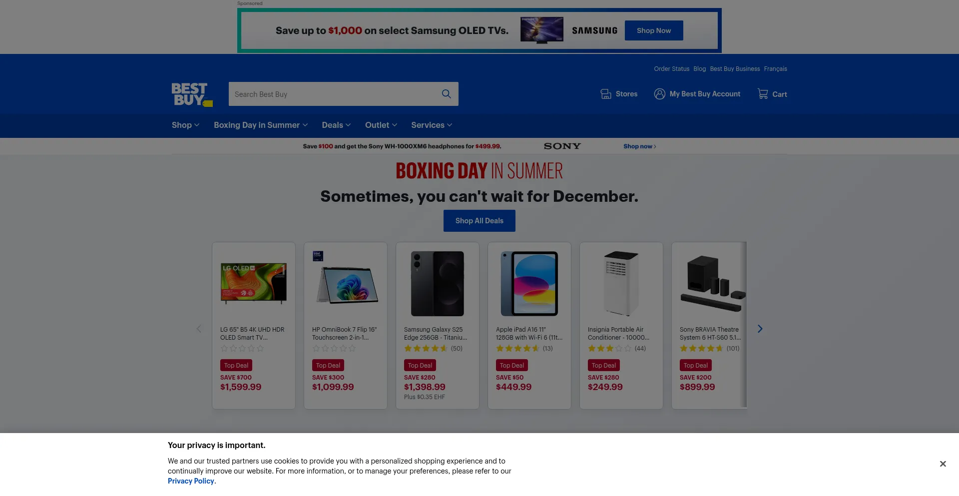 Website screenshot of Bestbuy.ca