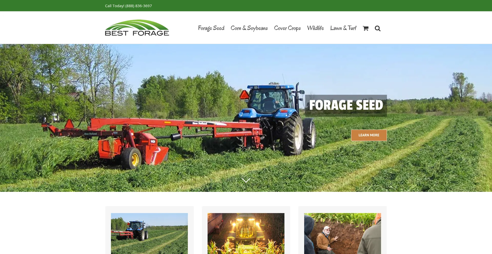 Website screenshot of Bestforage.com