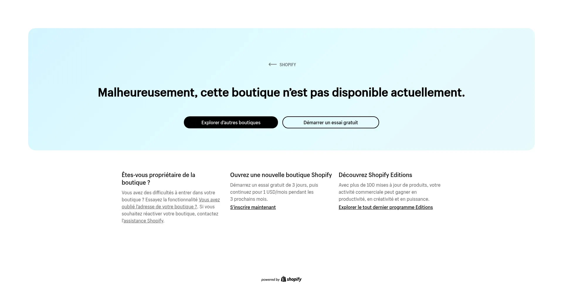 Website screenshot of Bestgadgets.fr