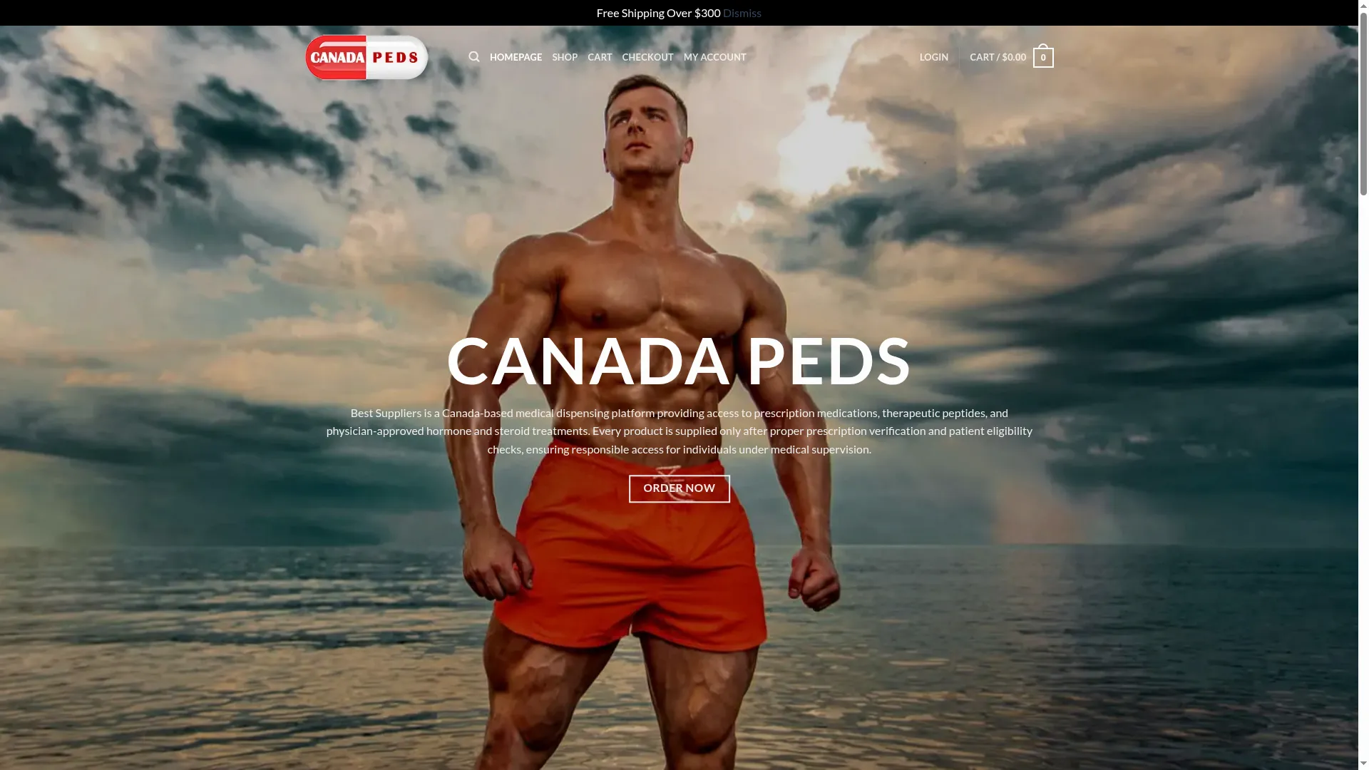 Bestsupplier.ca