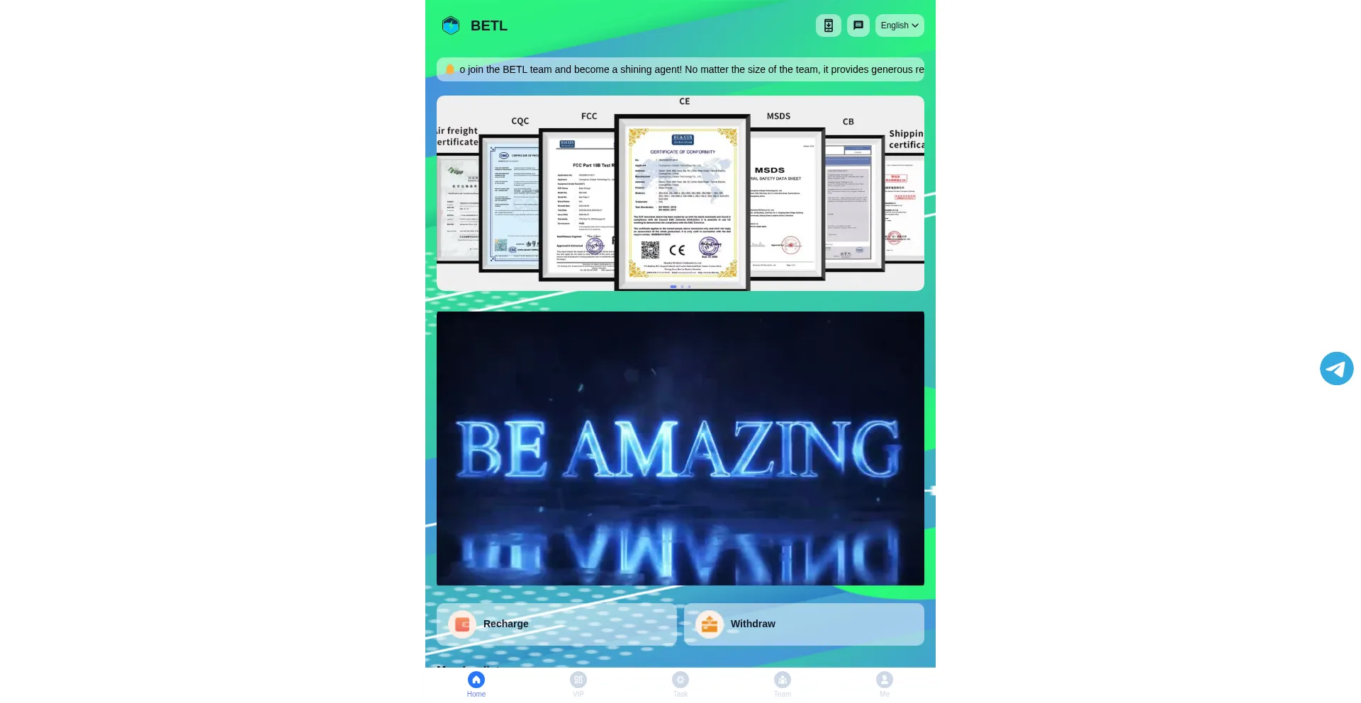 Website screenshot of Betl999.net
