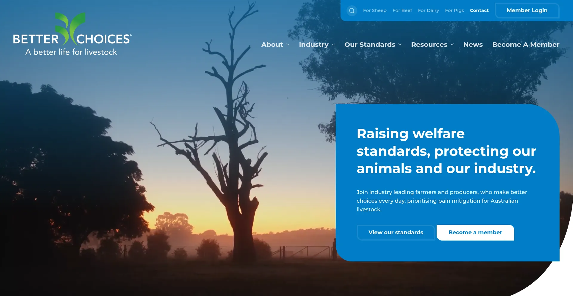 Website screenshot of Betterchoices.com.au