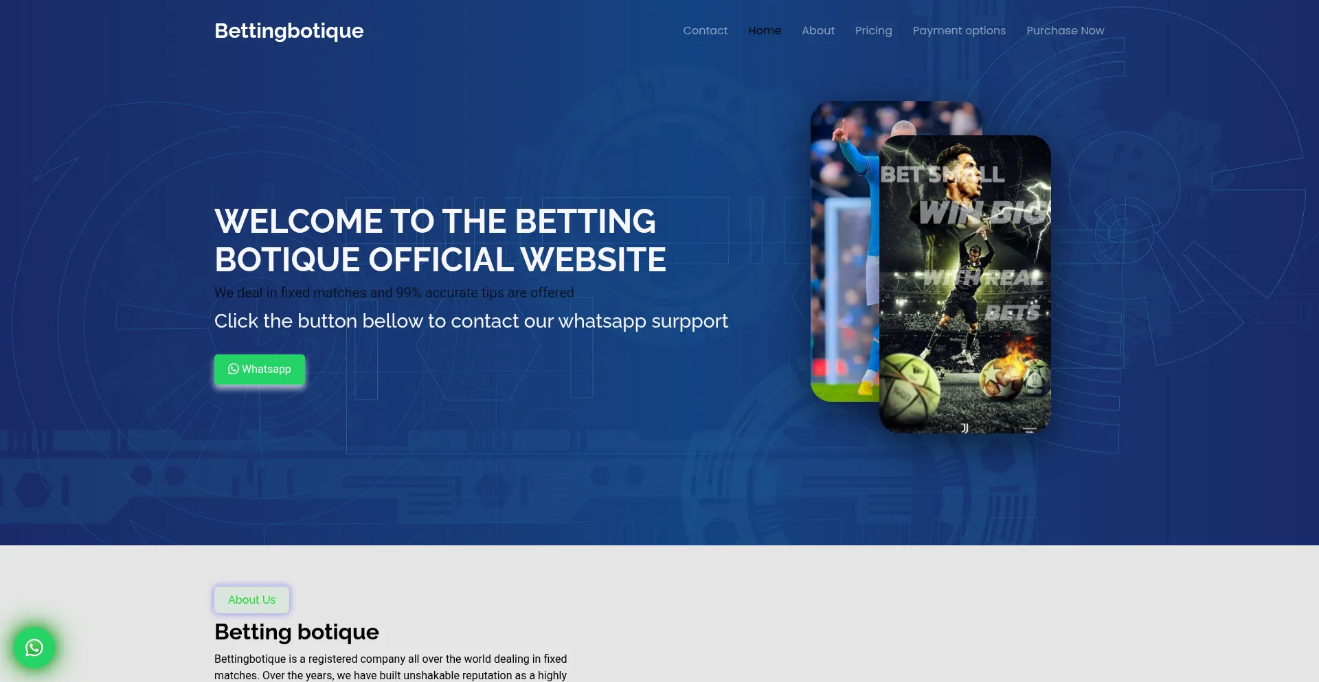 Website screenshot of Bettingbotique.com
