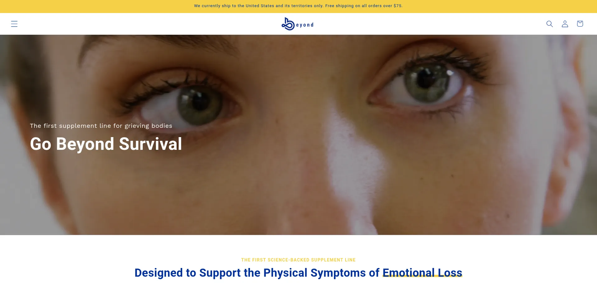 Website screenshot of Beyond-family.com