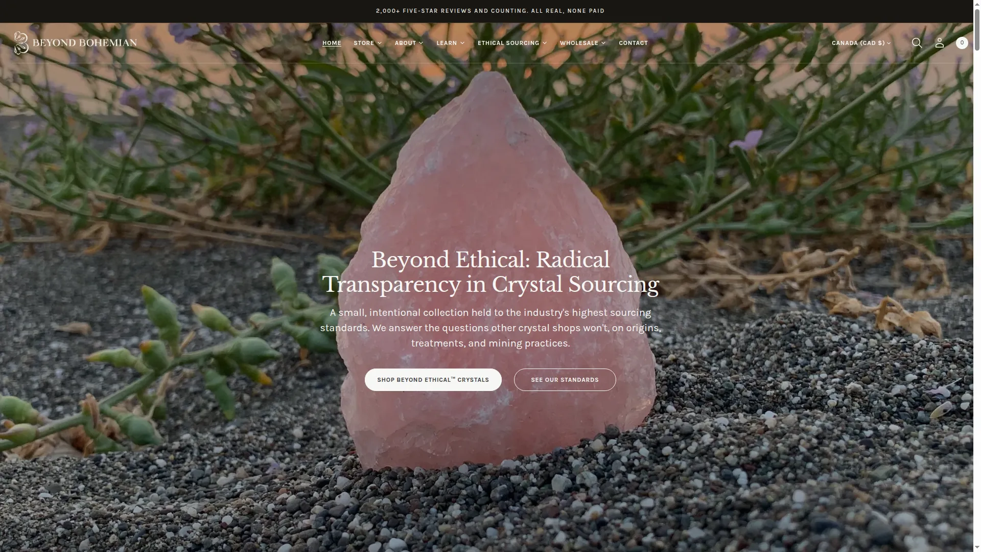 Beyondbohemian.com