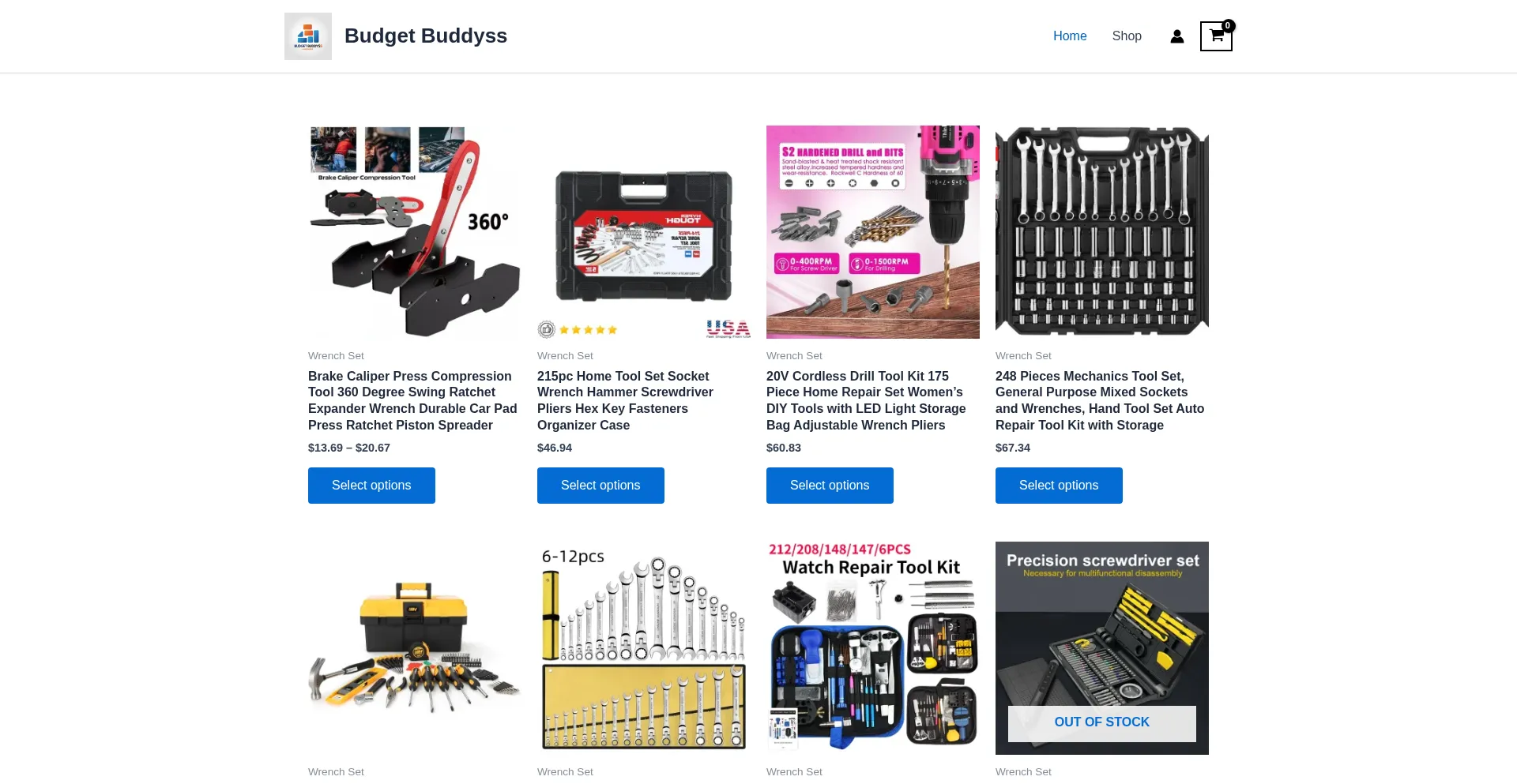 Website screenshot of Bgbuddyco.site