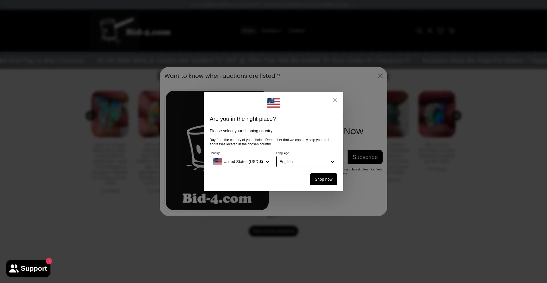Website screenshot of Bid-4.com