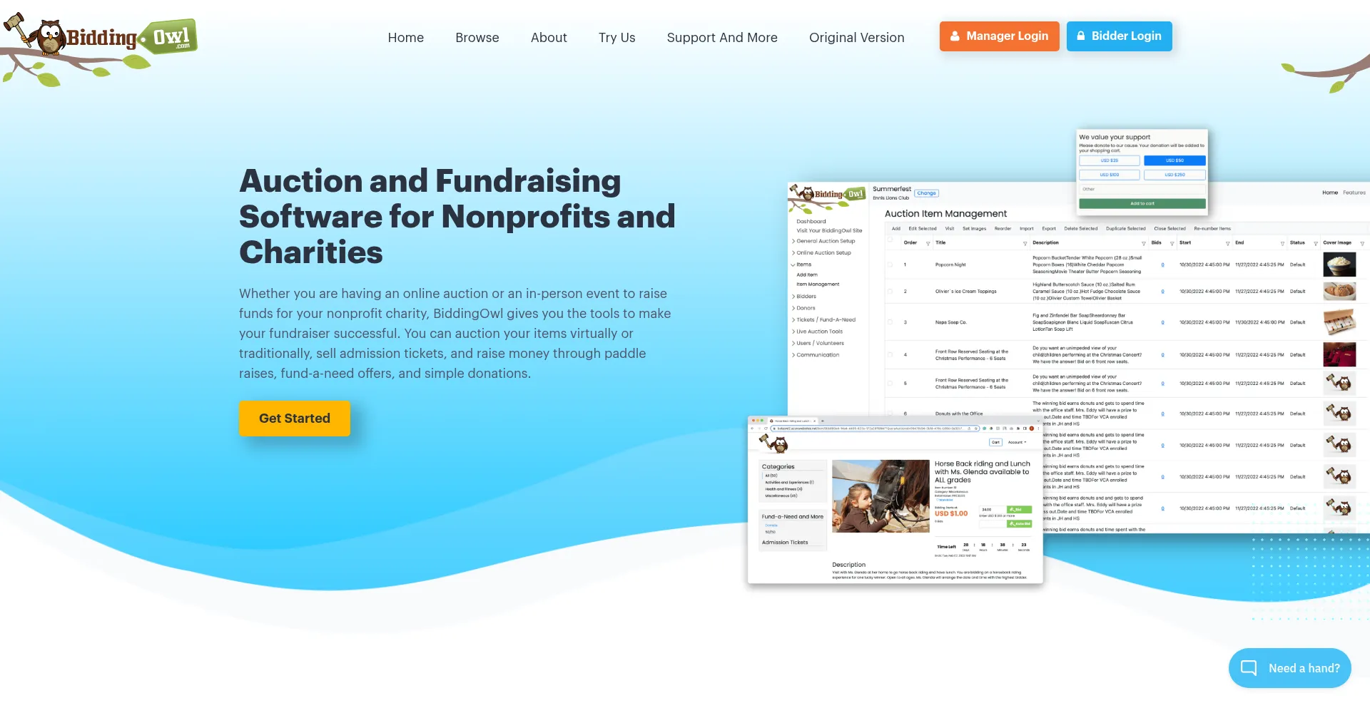 Website screenshot of Biddingowl.com