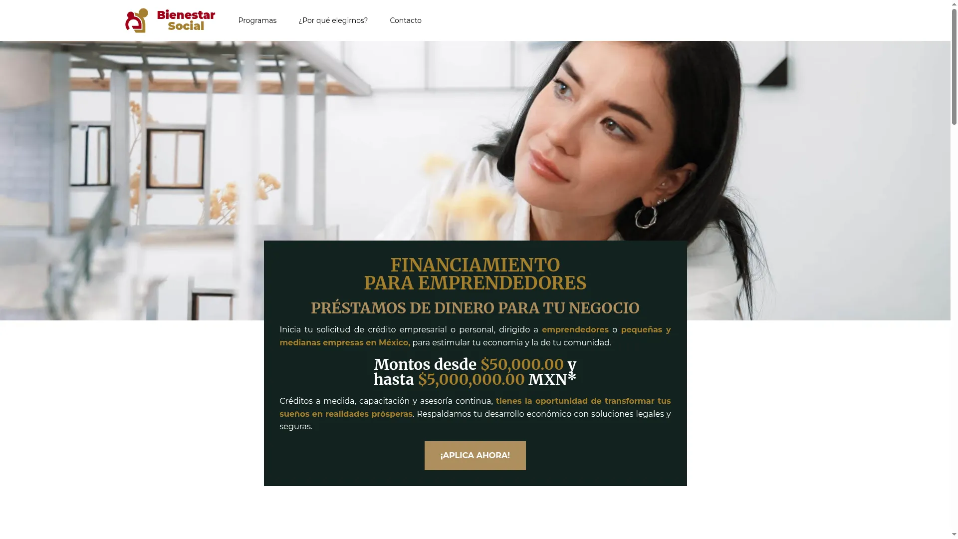 Bienestarsocial.org.mx