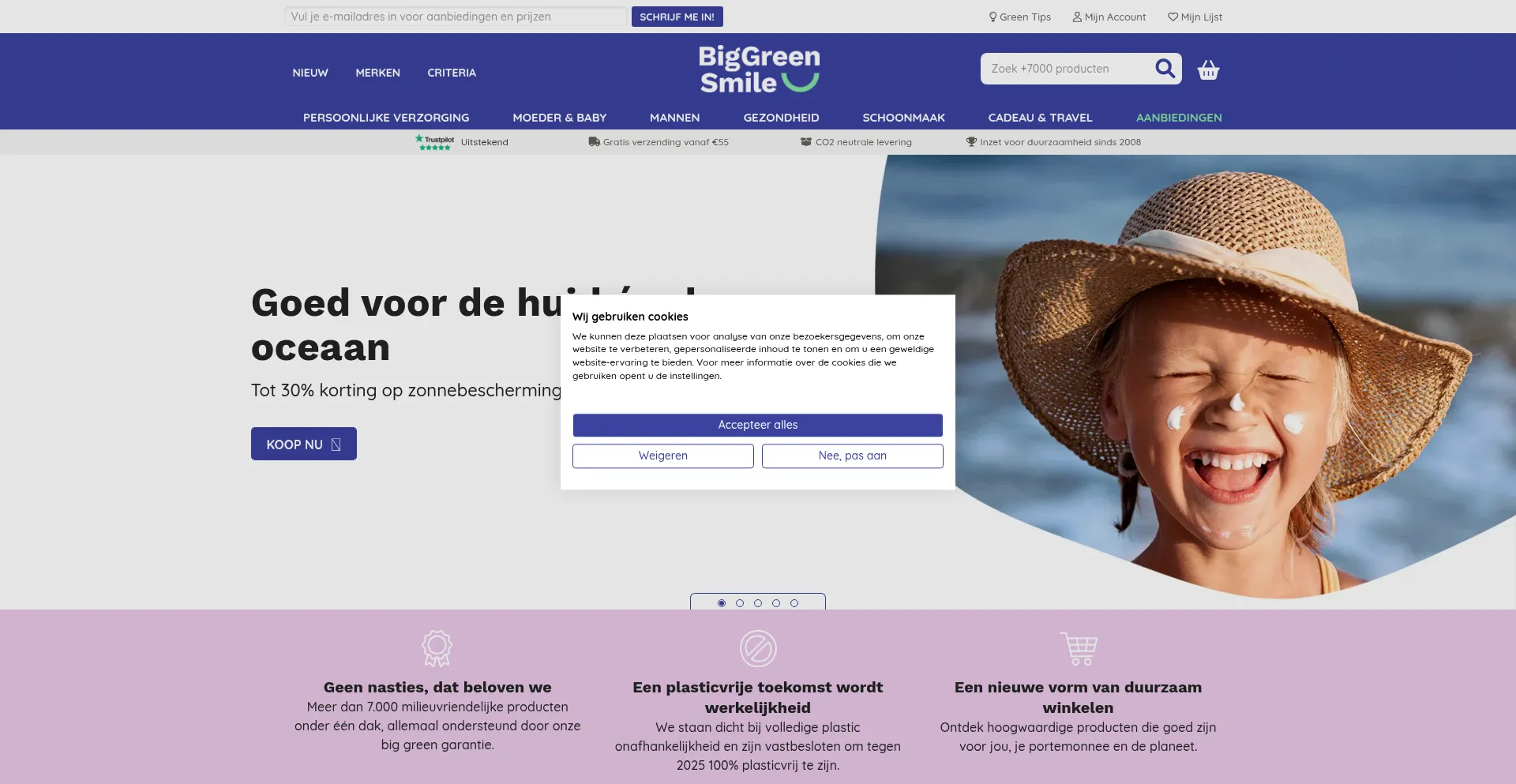Website screenshot of Biggreensmile.nl
