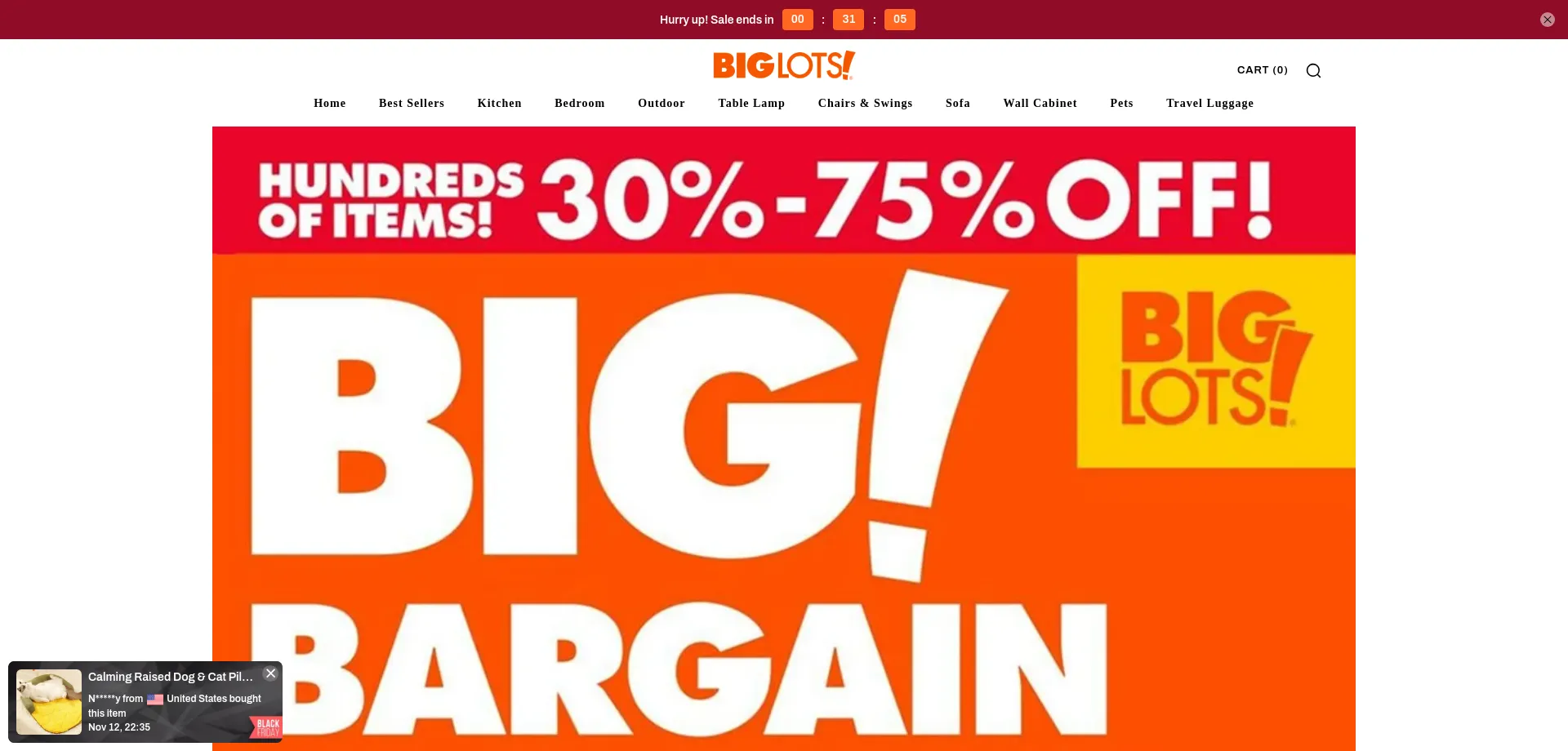 Website screenshot of Biglots-store.com