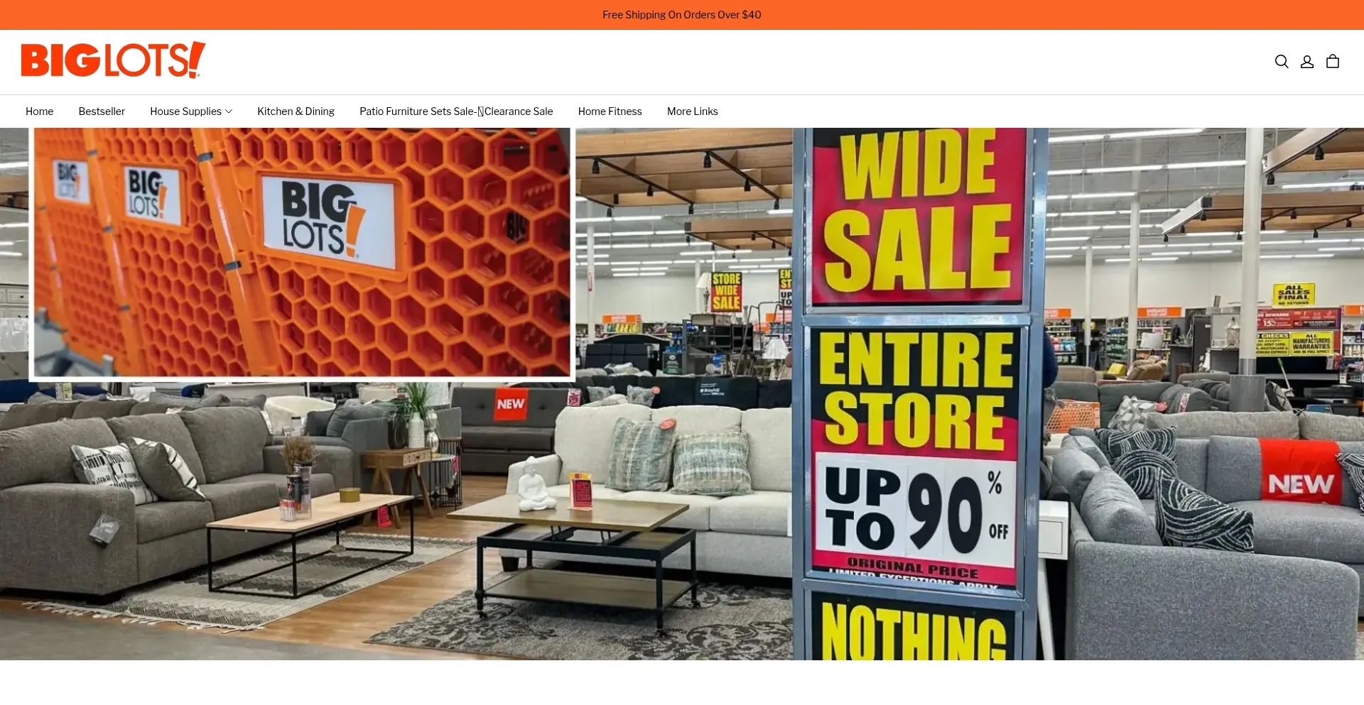 Website screenshot of Biglotsdiscountedstore.com