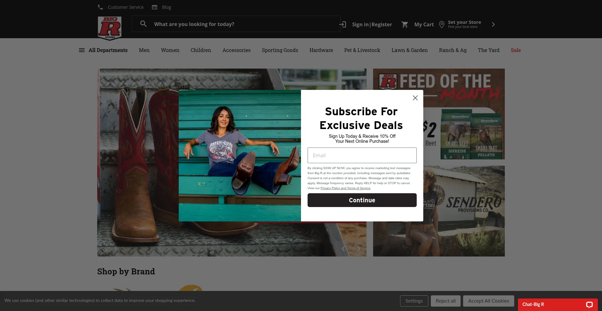 Website screenshot of Bigronline.com