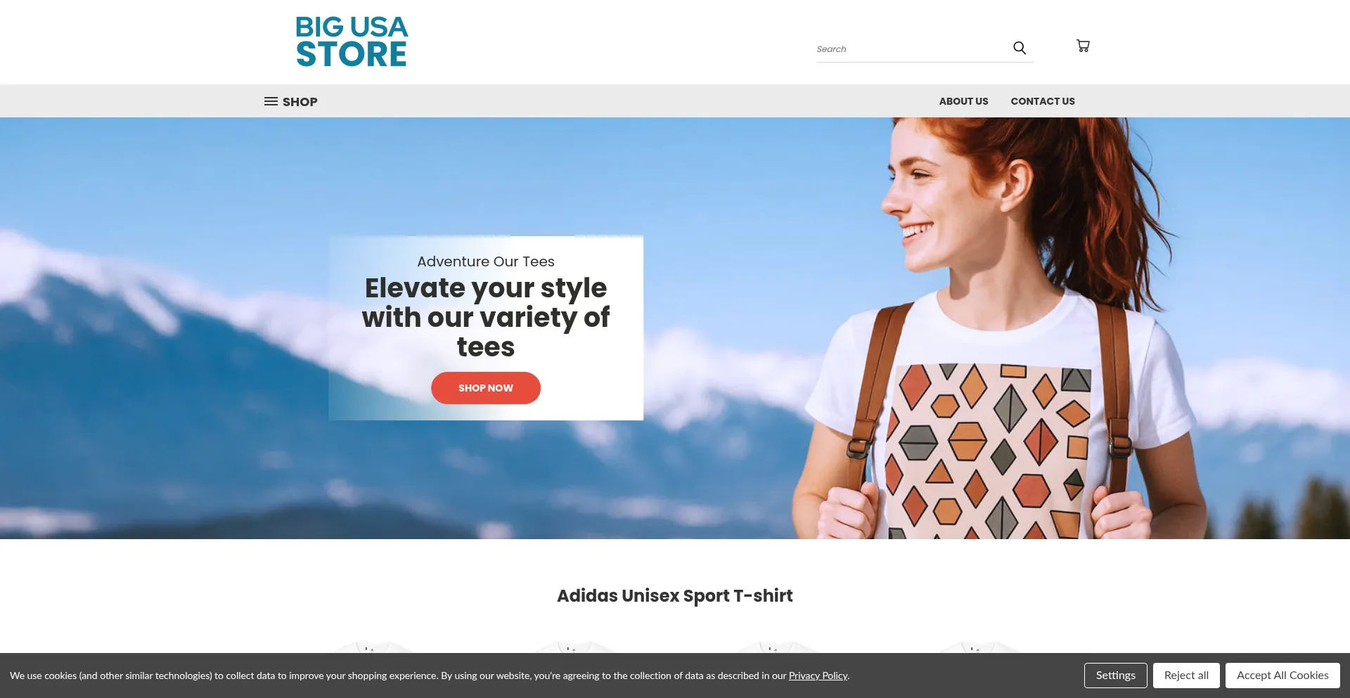 Website screenshot of Bigusastore.com
