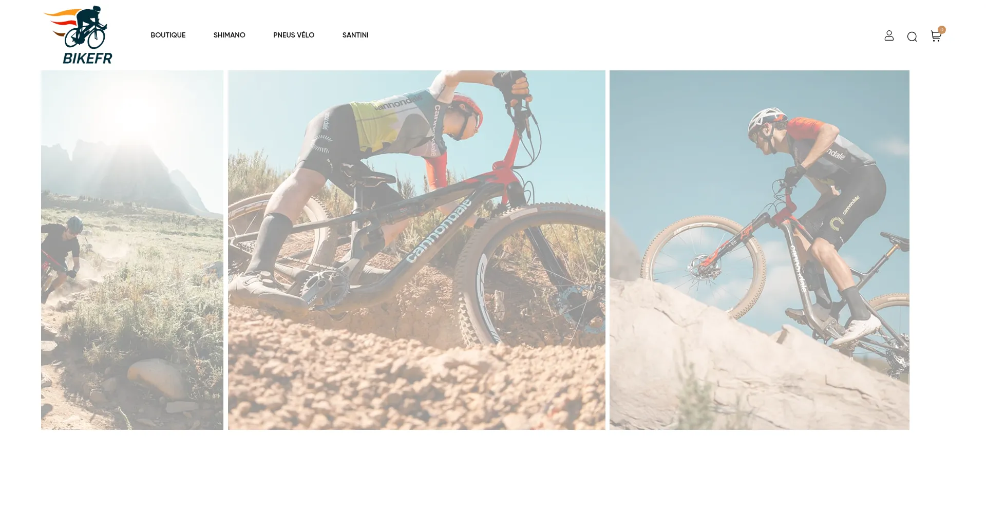 Bikefr.com Screenshot