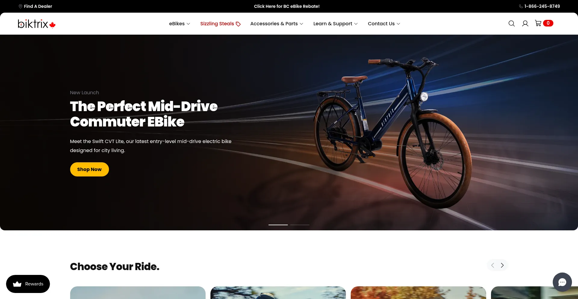 Biktrix.ca Screenshot