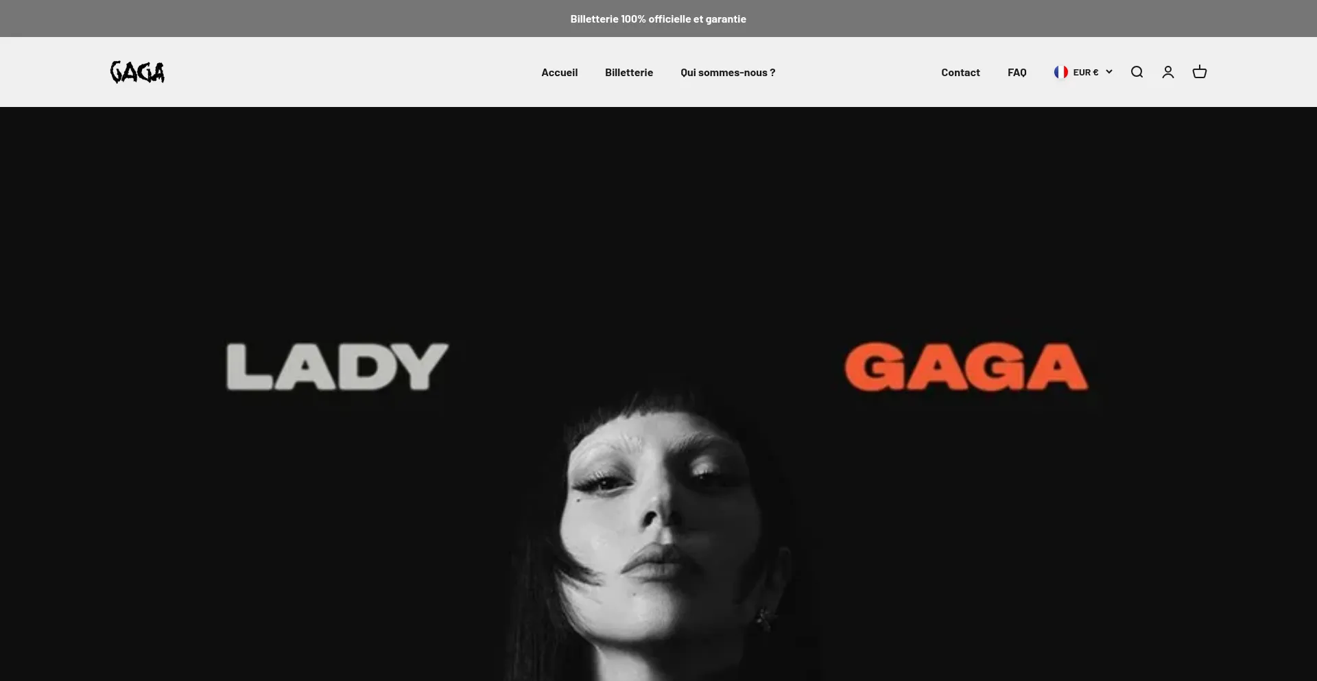 Website screenshot of Billetterie-mayhem.com