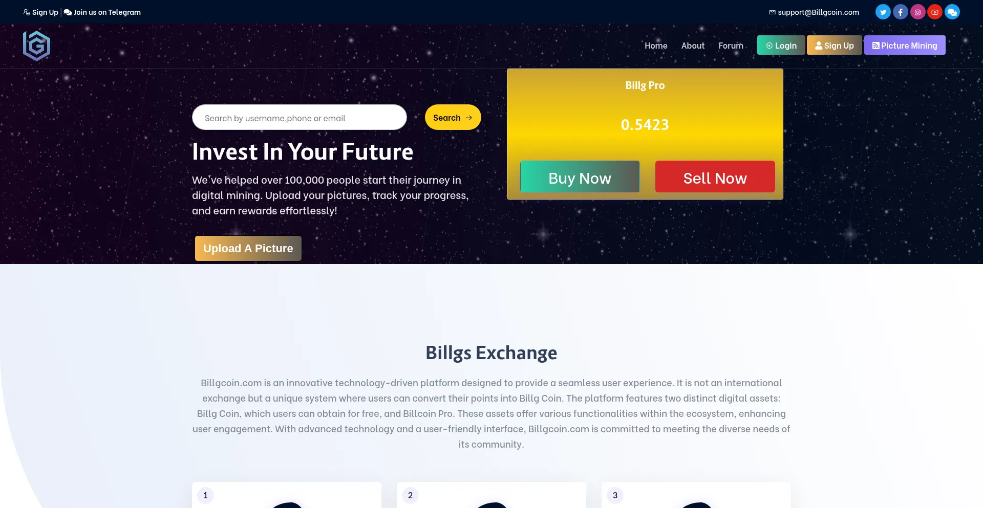 Website screenshot of Billgcoin.online