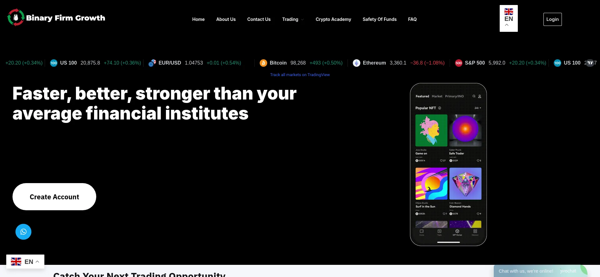 Website screenshot of Binaryfirmgrowth.net