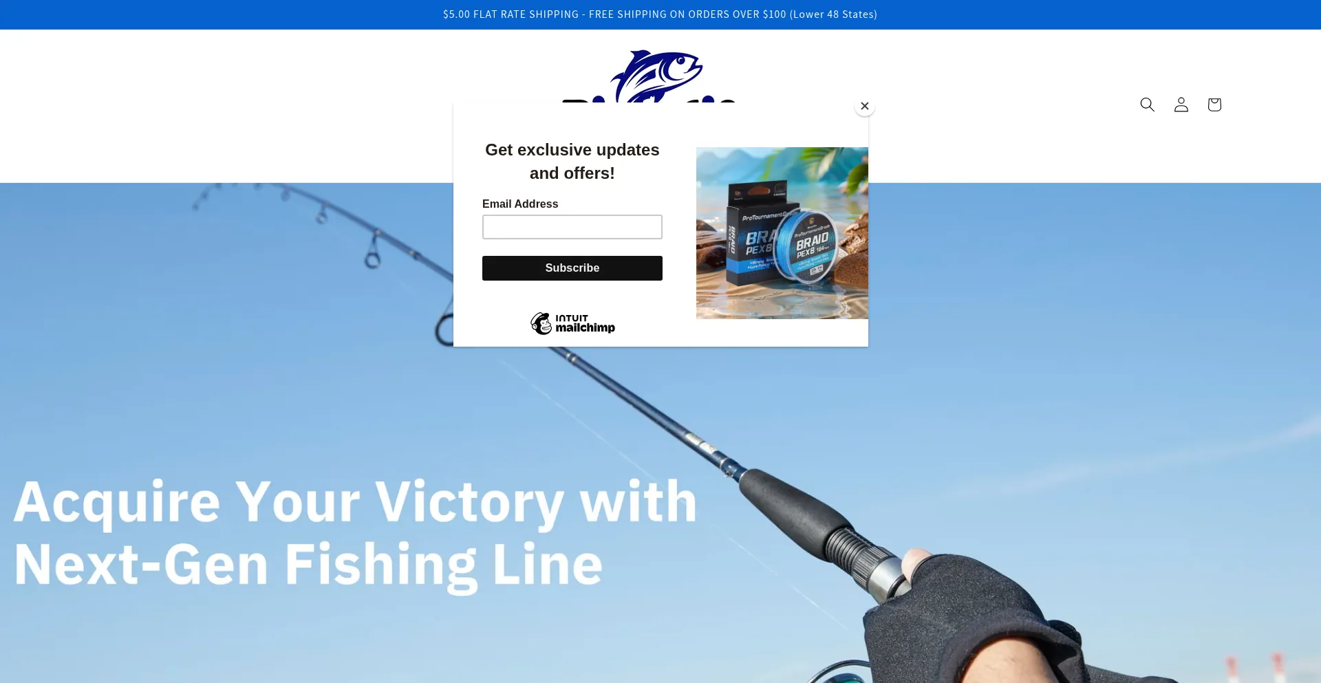 Bingobraid.com Screenshot