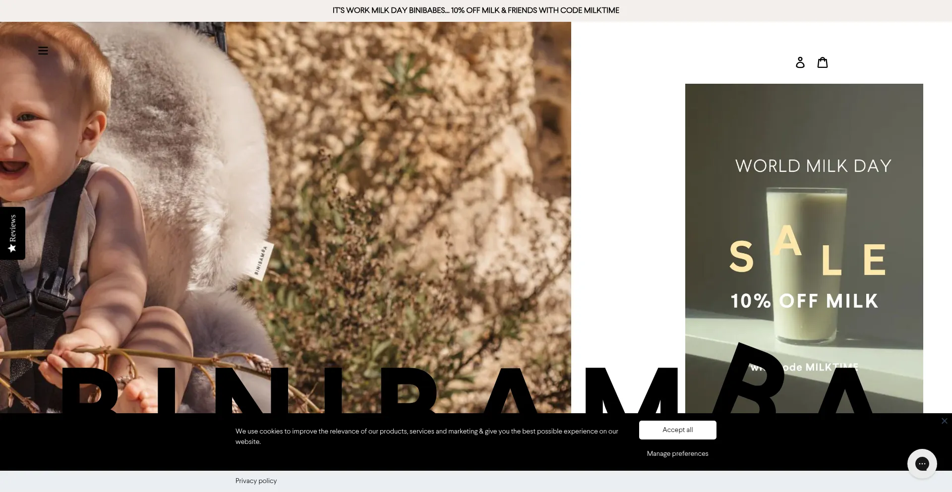 Website screenshot of Binibamba.com